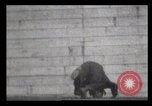 Immagine di Un arabo di strada New York City USA, 1898, secondo 30 filmato di repertorio 65675040620