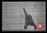 Immagine di Un arabo di strada New York City USA, 1898, secondo 40 filmato di repertorio 65675040620