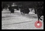 Image of Sleighs New York City USA, 1898, second 4 stock footage video 65675040624
