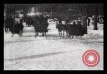 Image of Sleighs New York City USA, 1898, second 12 stock footage video 65675040624
