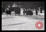 Image of Sleighs New York City USA, 1898, second 13 stock footage video 65675040624