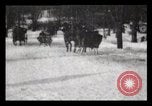 Image of Sleighs New York City USA, 1898, second 30 stock footage video 65675040624