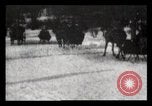 Image of Sleighs New York City USA, 1898, second 32 stock footage video 65675040624