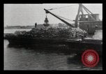 Image of Landfill New York City USA, 1903, second 61 stock footage video 65675040630