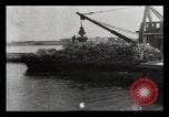 Image of Landfill New York City USA, 1903, second 62 stock footage video 65675040630