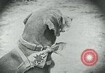 Standbild Nahrungsmittelhilfe für Deutschland nach dem 1 Weltkrieg Deutschland, 1920, aus Sekunde 14 historischem Filmmaterial Videoclip 65675040647