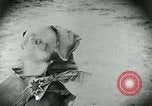 Standbild Nahrungsmittelhilfe für Deutschland nach dem 1 Weltkrieg Deutschland, 1920, aus Sekunde 17 historischem Filmmaterial Videoclip 65675040647