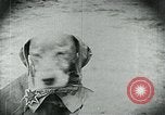 Standbild Nahrungsmittelhilfe für Deutschland nach dem 1 Weltkrieg Deutschland, 1920, aus Sekunde 18 historischem Filmmaterial Videoclip 65675040647