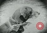 Standbild Nahrungsmittelhilfe für Deutschland nach dem 1 Weltkrieg Deutschland, 1920, aus Sekunde 19 historischem Filmmaterial Videoclip 65675040647