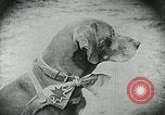 Standbild Nahrungsmittelhilfe für Deutschland nach dem 1 Weltkrieg Deutschland, 1920, aus Sekunde 20 historischem Filmmaterial Videoclip 65675040647