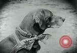 Standbild Nahrungsmittelhilfe für Deutschland nach dem 1 Weltkrieg Deutschland, 1920, aus Sekunde 21 historischem Filmmaterial Videoclip 65675040647