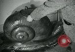 Image of various small curios Paris France, 1947, second 6 stock footage video 65675040653