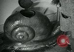 Image of various small curios Paris France, 1947, second 7 stock footage video 65675040653