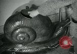 Image of various small curios Paris France, 1947, second 8 stock footage video 65675040653