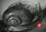 Image of various small curios Paris France, 1947, second 9 stock footage video 65675040653