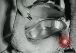 Image of various small curios Paris France, 1947, second 13 stock footage video 65675040653
