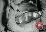 Image of various small curios Paris France, 1947, second 14 stock footage video 65675040653