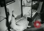Image of various small curios Paris France, 1947, second 16 stock footage video 65675040653