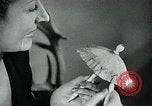 Image of various small curios Paris France, 1947, second 26 stock footage video 65675040653