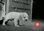 Image of Feller Washington DC USA, 1947, second 6 stock footage video 65675040656
