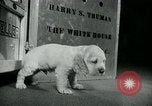 Image of Feller Washington DC USA, 1947, second 7 stock footage video 65675040656