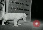 Image of Feller Washington DC USA, 1947, second 8 stock footage video 65675040656
