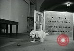 Image of Feller Washington DC USA, 1947, second 14 stock footage video 65675040656