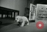 Image of Feller Washington DC USA, 1947, second 15 stock footage video 65675040656