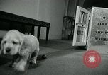 Image of Feller Washington DC USA, 1947, second 16 stock footage video 65675040656