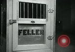 Image of Feller Washington DC USA, 1947, second 20 stock footage video 65675040656
