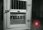Image of Feller Washington DC USA, 1947, second 21 stock footage video 65675040656