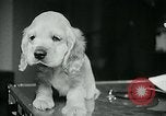 Image of Feller Washington DC USA, 1947, second 25 stock footage video 65675040656