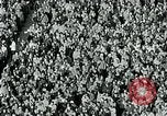 Standbild Fußballspiel College Park Maryland USA, 1951, aus Sekunde 18 historischem Filmmaterial Videoclip 65675040663