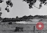 Immagine di Popolo tedesco Bamberg Germania, 1946, secondo 36 filmato di repertorio 65675040671