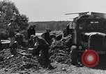 Immagine di Popolo tedesco Bamberg Germania, 1946, secondo 56 filmato di repertorio 65675040671