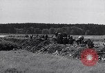 Immagine di Popolo tedesco Bamberg Germania, 1946, secondo 18 filmato di repertorio 65675040672