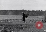 Immagine di Popolo tedesco Bamberg Germania, 1946, secondo 47 filmato di repertorio 65675040672