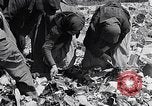 Immagine di Popolo tedesco Monaco di Baviera Germania, 1946, secondo 40 filmato di repertorio 65675040673