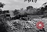 Immagine di Popolo tedesco Monaco di Baviera Germania, 1946, secondo 53 filmato di repertorio 65675040673