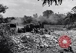 Immagine di Popolo tedesco Monaco di Baviera Germania, 1946, secondo 54 filmato di repertorio 65675040673
