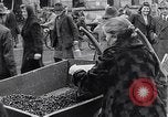 Standbild deutsche Volk sammeln Kraftstoff Kohle am Ende des Krieges München Deutschland, 1945, aus Sekunde 56 historischem Filmmaterial Videoclip 65675040678