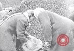 Image of German people gather fuel end World War 2 Munich Germany, 1945, second 26 stock footage video 65675040680
