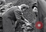 Image of German people gather fuel end World War 2 Munich Germany, 1945, second 29 stock footage video 65675040680