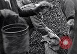 Image of German people gather fuel end World War 2 Munich Germany, 1945, second 31 stock footage video 65675040680