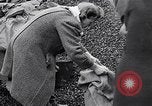 Image of German people gather fuel end World War 2 Munich Germany, 1945, second 33 stock footage video 65675040680