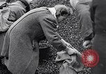 Image of German people gather fuel end World War 2 Munich Germany, 1945, second 34 stock footage video 65675040680