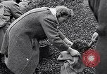 Image of German people gather fuel end World War 2 Munich Germany, 1945, second 35 stock footage video 65675040680