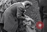Image of German people gather fuel end World War 2 Munich Germany, 1945, second 36 stock footage video 65675040680