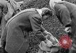 Image of German people gather fuel end World War 2 Munich Germany, 1945, second 37 stock footage video 65675040680