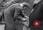 Image of German people gather fuel end World War 2 Munich Germany, 1945, second 39 stock footage video 65675040680